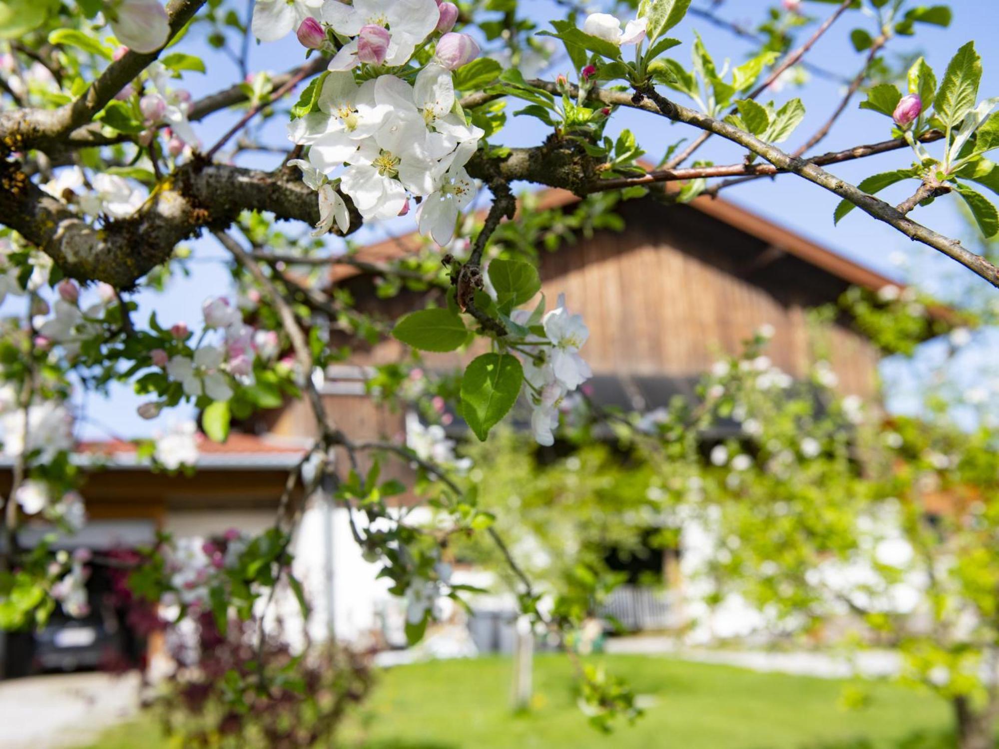 Auszeit Am Bauernhof Lägenhet Schwoich Exteriör bild